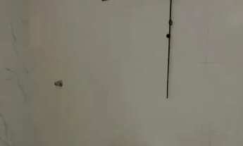 Imagem 6: Casa no Norte da Ilha.T