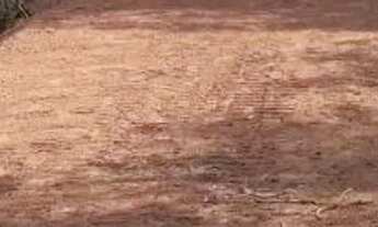 Imagem 6: AREA - CENTRO (CANGUERA) - SP