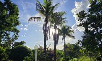 Imagem 5: CHÁCARA 23 mil m2 ESCRITURADA DF