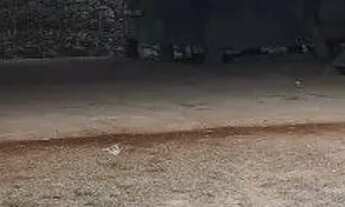 Imagem 3: Blumenau - Galpão/Depósito/Armazém - Escola Agricola