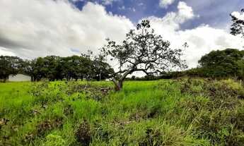 Imagem 5: Sítio com 29 tarefas no município de Itaporanga DAjuda