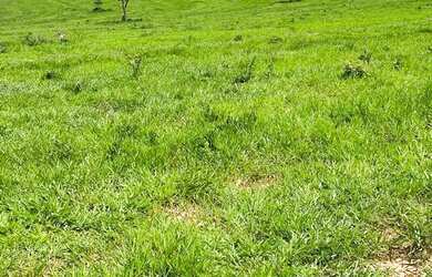 Imagem 2: Fazenda a venda em Mineiros - Goiás!