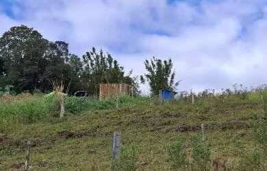 Imagem 7: Sitio Rolante 4000m2