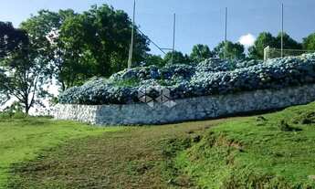Imagem 13: Chácara no Bairro 3ª Légua em Caxias do Sul
