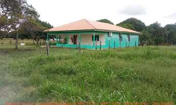 Imagem: Fazendinha de 50 hectares próximo da cidade