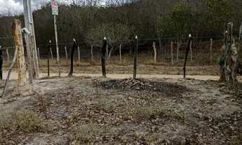 Imagem 2: Vendo 36 tarefas de terra em Itaberaba-BA