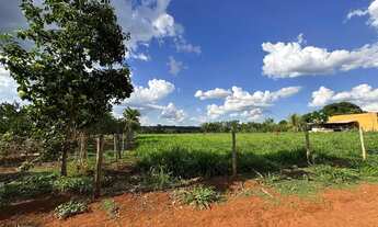 Imagem 5: Vendo Chácara Entre Goianira e Caturaí