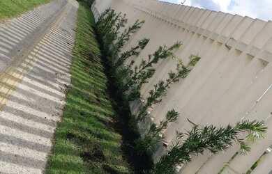 Imagem 2: Apartamento nunca habitado com 1 vaga !