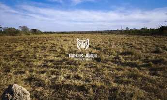 Imagem: FAZENDINHA DE OPORTUNIDADE DE 120 HA PLANA