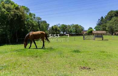Imagem 7: Chácara cinematográfica à venda em São José dos Pinhais 80.000 m² de terreno, casa princi