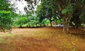 Imagem 5: Excelente Chácara de 2.3 Hectares no Córrego do Atoleiro Planaltina DF- Córrego nos Fundos