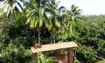 Imagem 5: Sítio para réveillon