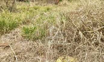 Imagem: Terreno à venda, 6000 m² por R$ 4.500.000,00