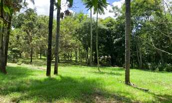 Imagem 7: Fazendinha de 4 hectares, as margens do Rio das Velhas, casa, espaço gourmet e muito mais
