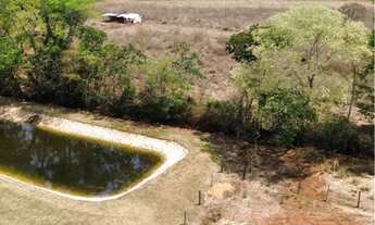 Imagem 4: Chácara de 4.5 alqueires