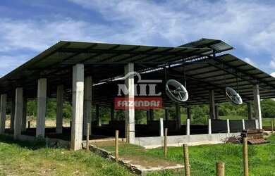 Imagem 2: Chácara 8.91 Alqueires (43.15 Hectares) Jandaia - GO