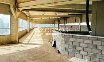 Imagem 6: Sala comercial para aluguel, Novo Mundo - Uberlândia/MG