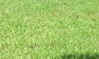 Imagem 4: Fazenda Fazenda / sítio com venda por R$3.400.000