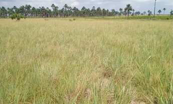 Imagem 4: Vende-se ou troca-se por terreno na cidade