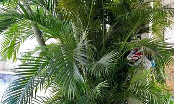 Imagem 6: Casa no Bairro Jardim das América