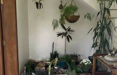 Imagem 7: Imóvel para venda com 400 metros quadrados com 3 quartos