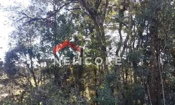 Imagem 4: Chácara em Rua João Bortolan - Colônia Murici - São José dos Pinhais/PR