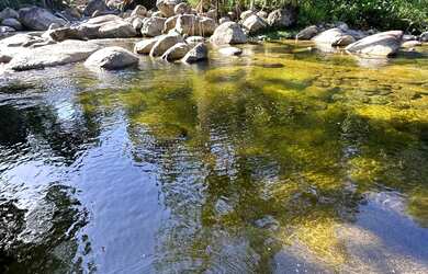 Imagem: Chalés na natureza de Paraty com cachoeira