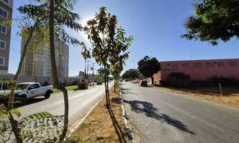 Imagem 5: Lote comercial Jardim Novo Mundo 470 metros