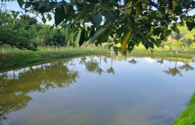 Imagem 3: Terreno de 1.000m² perto de São Roque e 45min de Barueri