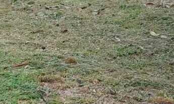 Imagem: TERRENO NO IRANDUBA