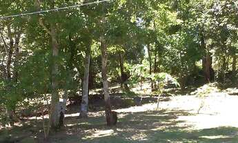 Imagem 2: Chacará Interior de Águas de Chapecó - SC