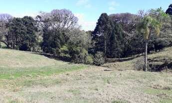 Imagem 2: Chácara em Três Coroas na divisa com São Francisco de Paula