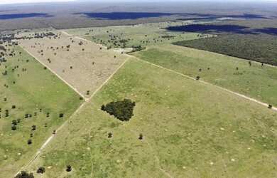 Imagem 5: Fazenda à venda entre Brejolândia e Serra Dourada, BA com 6808 hectares