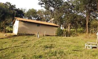 Imagem 4: Sitio 5.5 alqueires em Uchoa 2,5km rodovia- valor 550 mil