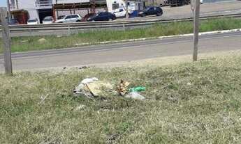 Imagem 3: Terrenos á venda em Lages