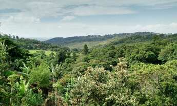 Imagem: Chácara Bolsão de segurança