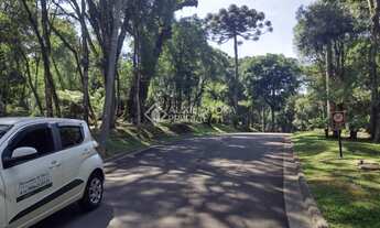 Imagem 5: GRAMADO - Terreno Padrão - Vila Moura