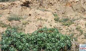 Imagem 2: Terreno à venda, 500 m² por R$ 95.000,00 - Jardim Santa Cândida - Agudos/SP