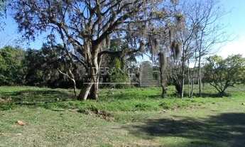Imagem: FLORIANóPOLIS - Terreno Padrão - Ratones