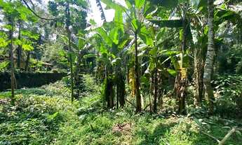 Imagem: LOTE PARA CONSTRUÇÃO IMEDIATA EM ITAMAMBUCA