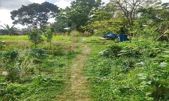 Imagem 2: DIADEMA - Terreno Padrão - Conceicao