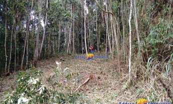 Imagem 2: Terreno à venda, 4335 m² por R$ 190.000,00 - Quebra Frascos - Teresópolis/RJ
