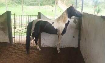 Imagem 5: Fazenda top em Alagoinhas