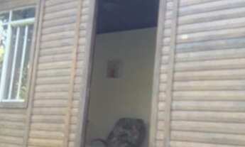 Imagem 6: SAO ROQUE - Sítio - GABRIEL PIZA