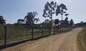 Imagem 3: Fazenda/Sítio/Chácara para venda tem 300 metros quadrados com 4 quartos