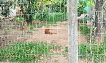 Imagem 2: Ótimo Terreno Parada 67 Gravataí