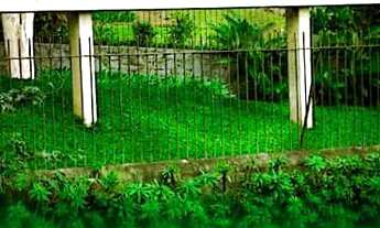 Imagem: Vendo Jazigo no cemitério da Paz