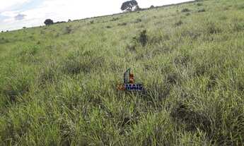 Imagem 5: Fazenda à venda, por R$ 50.000.000 - Centro - Lagoa da Confusão/TO