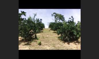 Imagem 5: Propriedade a 13 km de salgado