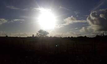 Imagem 2: Excelente Fazenda com 42 hectares próximo ao córrego